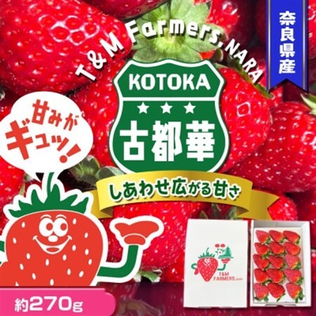 いちご 古都華・ことか 1パック(8〜15粒入り)[配送不可地域:離島・北海道・沖縄県・東北]