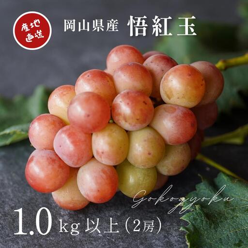ぶどう 岡山県産 厳選ぶどう悟紅玉1kg以上2房 [kgftmt006-02]