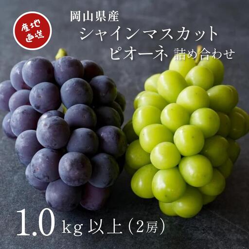 シャインマスカット ぶどう詰め合わせ 食べ比べシャインマスカットピオーネ1kg以上2房  【kgftmt008-02】
