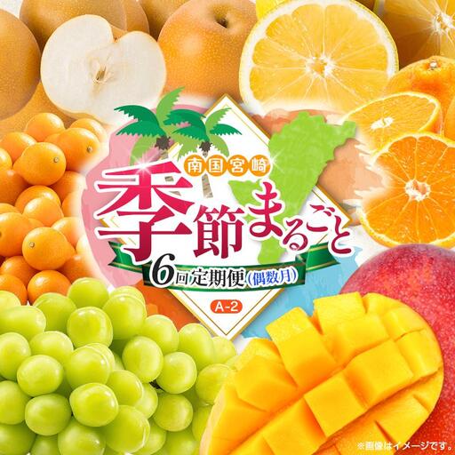 【偶数月 6回定期便】旬 人気 フルーツ 南国宮崎産 太陽のタマゴ きんかん シャインマスカット 日向夏 梨 みかん 柑橘 マンゴー ぶどう 果物 詰め合わせ＜A-2コース M120＞