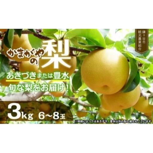 [2026年 先行予約] かまがや梨 豊水 あきづきなど旬の梨をお届け 約3kg