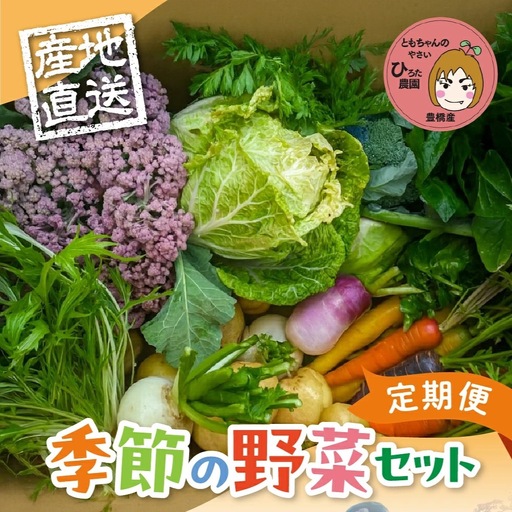 《先行予約》彩り野菜セット 3種 5回お届け 定期便 定期便