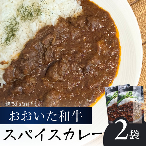 おおいた和牛 スパイスカレー 2袋 K03037