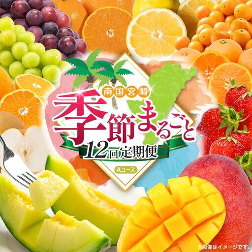 【12回定期便】旬 人気 フルーツ 南国宮崎産 太陽のタマゴ たまたまエクセレント シャインマスカット ピオーネ いちご みかん 日向夏 メロン 梨 柑橘 完熟 マンゴー きんかん たまたま ぶどう 果物 詰め合わせ 宮崎県 九州 1年 毎月お届け＜Aコース M100＞