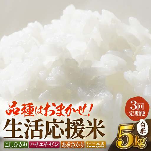 [先行予約]定期便 ≪3ヶ月≫令和8年産 生活応援米5kg × 3回[白米][10月中旬以降] [e81-b002_01]