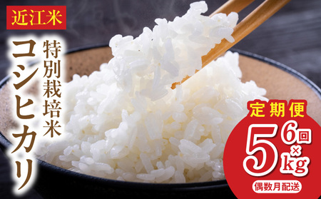 【令和8年度産】 先行予約 近江米『コシヒカリ』特別栽培米　5キロ×6回　偶数月お届け定期便（鮮度保持袋） DT-0001Tn