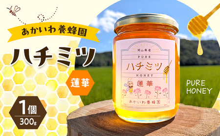 はちみつ 蓮華蜂蜜 天然 非加熱 はちみつ 【300g×1個】