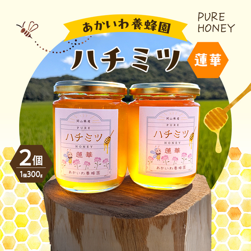 はちみつ 蓮華蜂蜜 天然 非加熱 はちみつ【300g×2個】