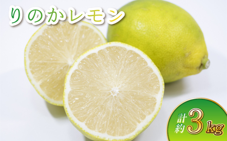 先行予約 りのかレモン 3kg [2027年3月上旬から6月中旬順次発送予定]