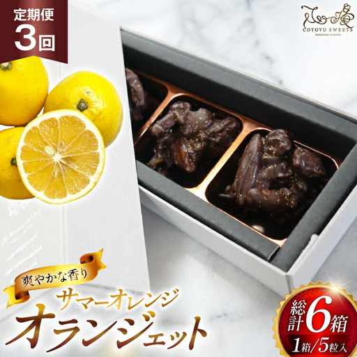 チョコ オランジェット サマー オレンジ 5粒入り 2箱 セット 3回 定期便 総計 6箱