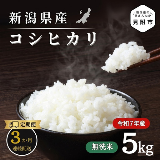 米 [3か月定期便]R7年産 新潟県産 コシヒカリ 5kg (無洗米)