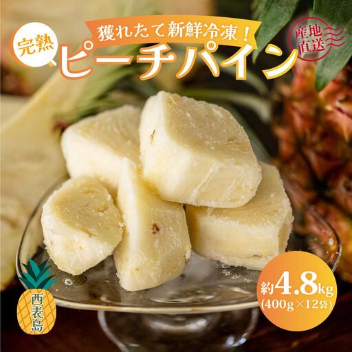 2027年 先行予約 獲れたて新鮮冷凍！西表島の完熟ピーチパイン 4.8kg(400g×12袋)