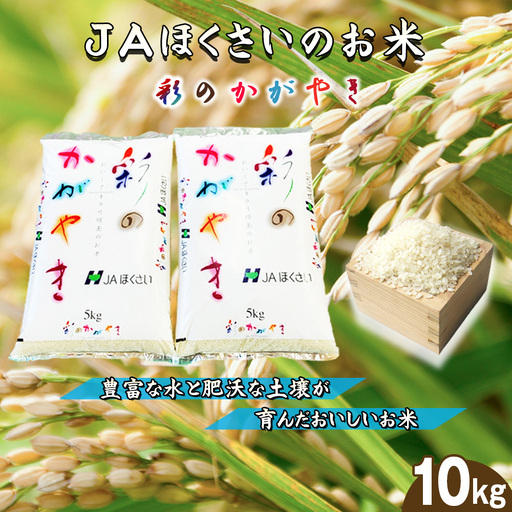 鴻巣市産「彩のかがやき」5kg×2（10kg） ／ 令和8年産 2026年産 米 精米 お米 10キロ ご飯 ブランド米 美味しい さっぱり 甘み 埼玉県 No.571