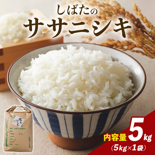 【令和7年産】しばたのササニシキ 精米 5kg 柴田町産 お米 おこめ 米 コメ 白米 ご飯 ごはん おにぎり お弁当 ささにしき【しばたの未来株式会社】sh138