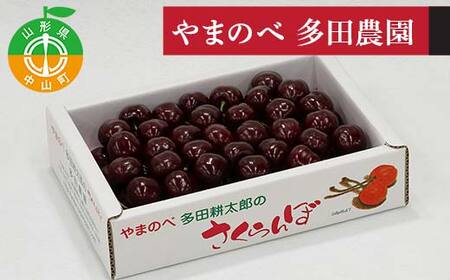 《先行予約》2027年 山形県産 サミット バラ詰700g やまのべ多田耕太郎のさくらんぼ F4A-0997