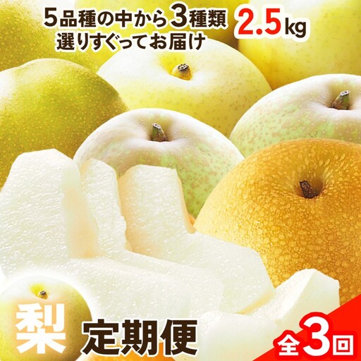 梨 定期便 計3品種 京丹後市｜フルーツ梨