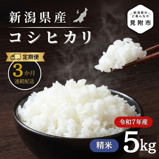 米 【3か月定期便】R7年産 新潟県産 コシヒカリ 5kg （精米） 新潟のど真ん中 見附市 こしひかり 米 お米 白米 国産 ごはん ご飯