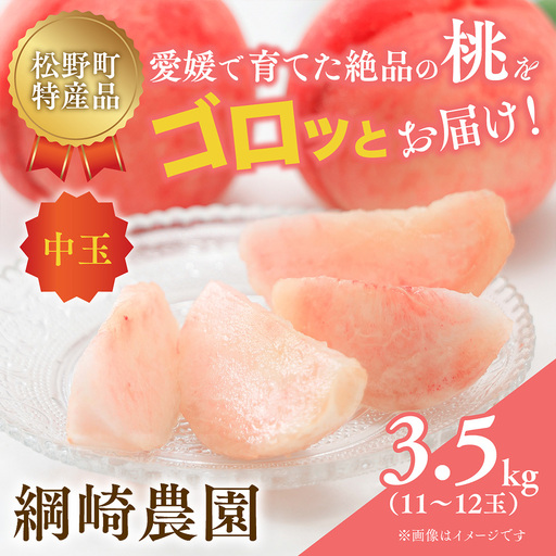 【2027年出荷分先行予約】愛媛の桃どころ 「綱崎農園」から届ける中玉桃 約3.5kg ｜ ふるさと納税 桃 冷蔵 松野町 フルーツ ギフト ※2027年6月～発送