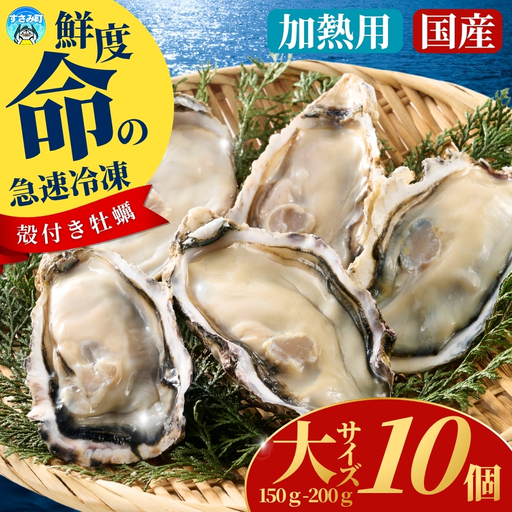国産 急速冷凍牡蠣 加熱用 大サイズ 10個 / 牡蠣 殻付き 海鮮 かき カキ 冷凍 【mix007】