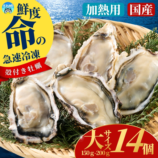 国産 急速冷凍牡蠣 加熱用 大サイズ 14個 / 牡蠣 殻付き 海鮮 かき カキ 冷凍 【mix008】