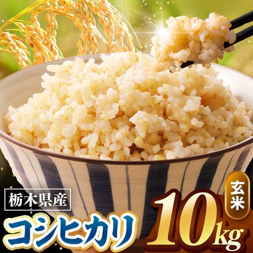 令和8年度産 先行予約 こしひかり 玄米 約10kg