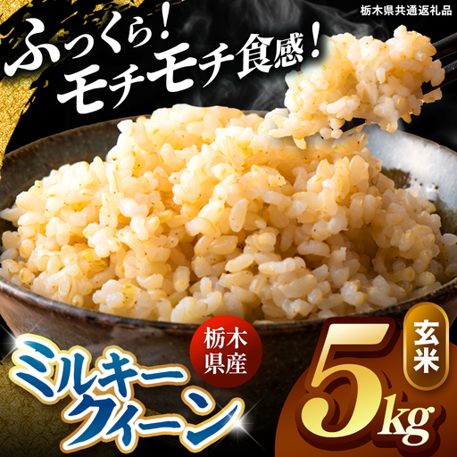 令和8年度産 先行予約 ミルキークイーン 玄米 約5kg