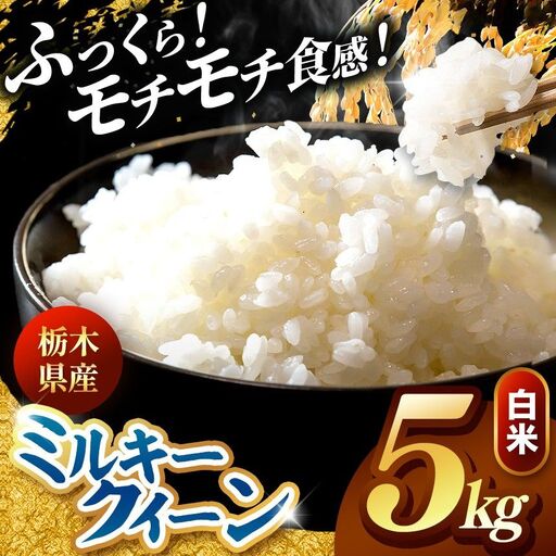 令和8年度産 先行予約 ミルキークイーン 白米 5kg
