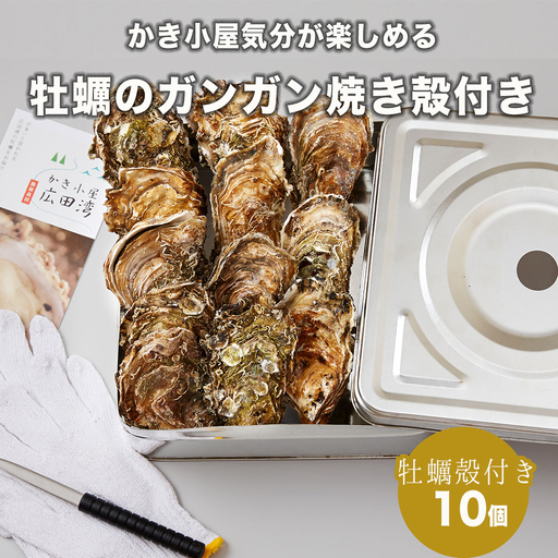 牡蠣のガンガン焼き 殻付き10個セット 浜焼き 海鮮 牡蠣