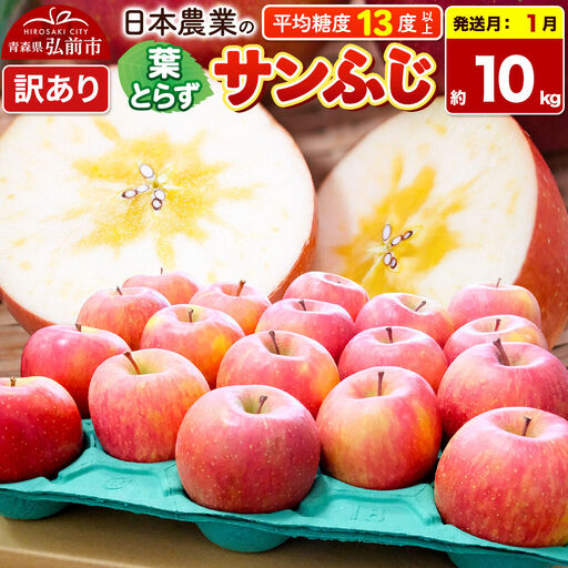 【27年1月発送】りんご 葉とらずサンふじ 【訳あり】 約10kg 平均糖度13度以上 青森県産