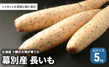 長いも 5kg 2Lサイズ シャキシャキ 長芋 長いも