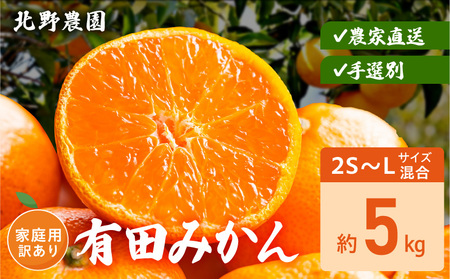 【2026年先行予約】家庭用 訳あり 有田みかん 和歌山 2S～Lサイズ混合 約5kg_DZ6236