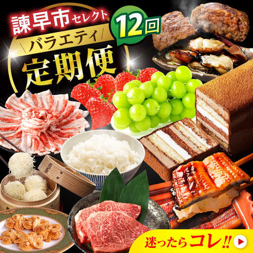 [12回定期便]バラエティ定期便 諫早市セレクト / ステーキ 菓子 いちご 牡蠣 ハンバーグ しゅうまい うなぎ ケーキ シャインマスカット 米 豚肉 かまぼこ / 諫早市[AHDC040]