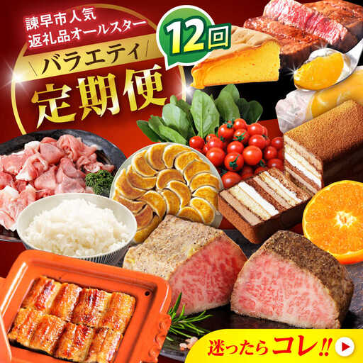 [12回定期便]バラエティ定期便 諫早市人気返礼品オールスター / 豚肉 米 野菜 ローストビーフ スイーツ うなぎ ゼリー カステラ 卵 餃子 みかん ステーキ / 諫早市[AHDC041]