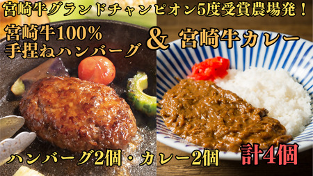 DI-003_宮崎牛100％手捏ねハンバーグ＆カレー　～宮崎牛グランドチャンピオン5度受賞農場発！