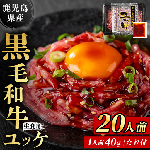 ユッケ 黒毛和牛 鹿児島県産 20人前 【LRプラスK】 i1211-C-om FN-Limited-VO