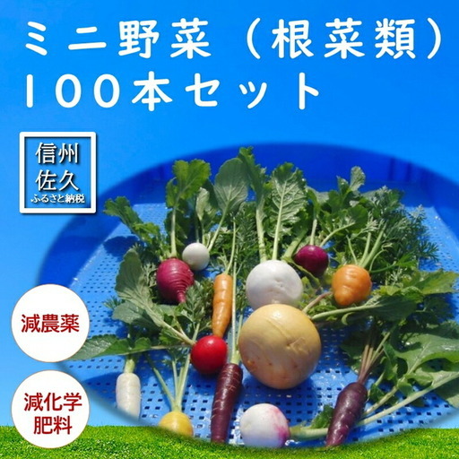 長野県佐久市産『ミニ野菜(根菜類)100本セット』（北海道・沖縄・離島は配送不可） 高原野菜 産地直送 新鮮 旬彩 減農薬 減化学肥料 信州 おまかせ【 長野県 佐久市 】