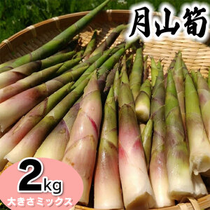 【令和9年産先行予約】月山筍 サイズミックス 2kg　がっさん たけのこ　鶴岡市朝日東部地区自治振興会