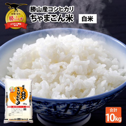 米 コシヒカリ 勝山産 ちゃまごん米 10kg 精米 [C-010018]