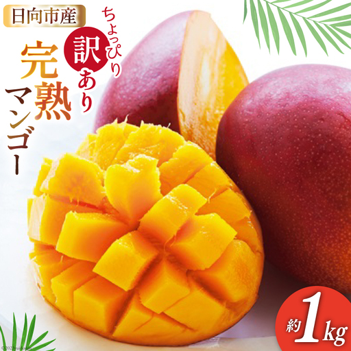 【2027年夏発送】 訳あり 宮崎 完熟 マンゴー 約 1kg