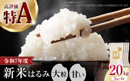 【令和7年産】【特Aランク受賞実績あり！】はるみ 20kg【なんかいファーム】 米 お米 精米 白米 はるみ 新米 令和7年産[BDBD004]
