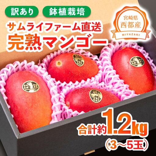 ふるさと納税