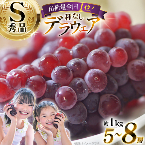 【期間限定発送】 デラウェア 秀品 5～8房 約 1kg