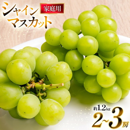 【期間限定発送】 家庭用 訳あり シャインマスカット 2～3房 約1.2kg