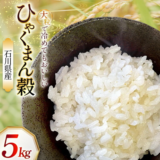 米 令和7年 石川県産 ひゃくまん穀　5kg 1袋