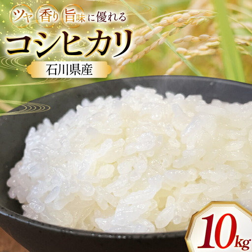米 令和8年 石川県産 コシヒカリ 10kg 1袋