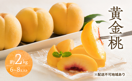 桃 2026年 先行予約 黄金桃 2kg 6～8玉 桃