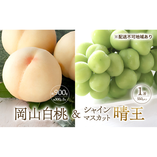 桃 ぶどう 2026年 先行予約 清水 白桃 3玉合計 約900g （1玉約300g） シャインマスカット 晴王 1房 550g以上 桃 シャインマスカット