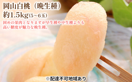 固めの 桃 2026年 先行予約 白桃 晩生種 1.5kg 5～6玉  桃