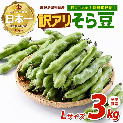2027年3月上旬以降発送 訳アリ・ご家庭用 そら豆Lサイズ 約3kg IB092-006