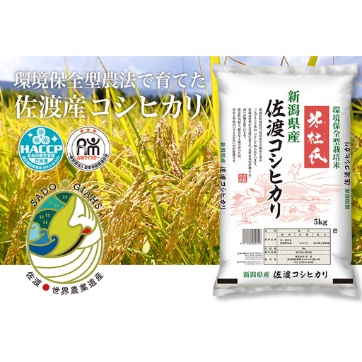 米 コシヒカリ 佐渡産 ( 5kg ) 米杜氏【令和7年米】